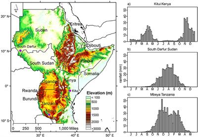 Vegetation Monitoring Optimization With Normalized Difference Vegetation Index and Evapotranspiration Using Remote Sensing Measurements and Land Surface Models Over East Africa